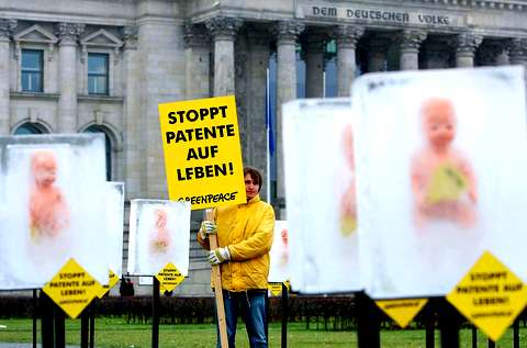 Гринпис протестует против использования эмбриональных клеток