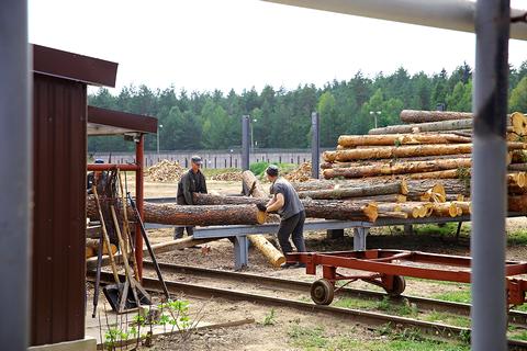 Осужденные, работающие на деревообработке.