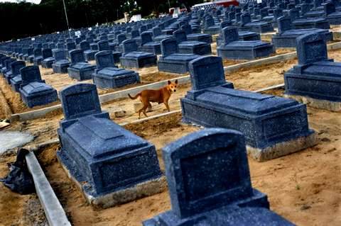 Если вы почувствовали в себе недостаток человеколюбия — отправляйтесь на кладбище! (Фото John Stanmeyer/VII.)
