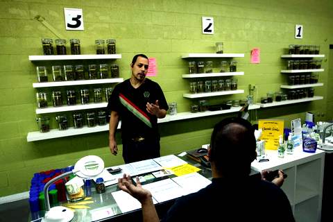 bj001 2 - В Польше и США легализуют марихуану
