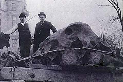 В апреле 1906 года крупнейший метеорит США Уилламетт был доставлен в Американский музей естествознания в Нью-Йорке. Дюжина лошадей тянула огромную деревянную повозку, колеса которой под тяжестью 16-тонной глыбы оставляли глубокие вмятины на мостовой  