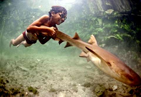 Энал из деревни Вакатоби плывет, уцепившись за хвост небольшой акулы. Подобные забавы детей баджао — подготовка к взрослой жизни, связанной с постоянным нырянием