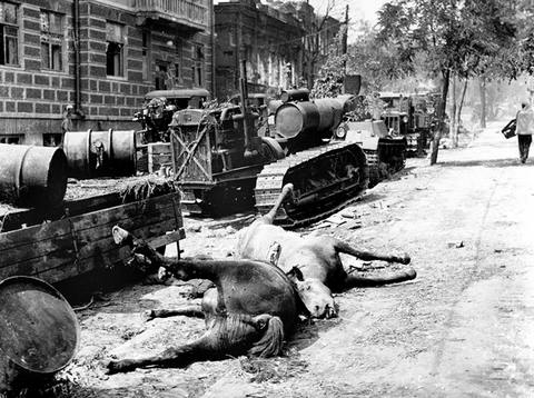 Разрушенная военная техника и убитые лошади, оставленные Красной армией  во время отступления летом 1941 года  