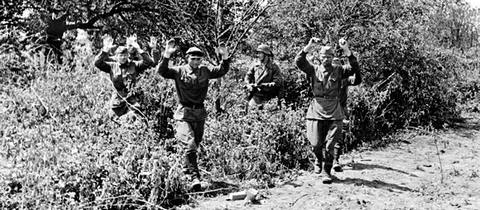 Советские солдаты, сдающиеся в плен на территории Белоруссии, лето 1941 года  