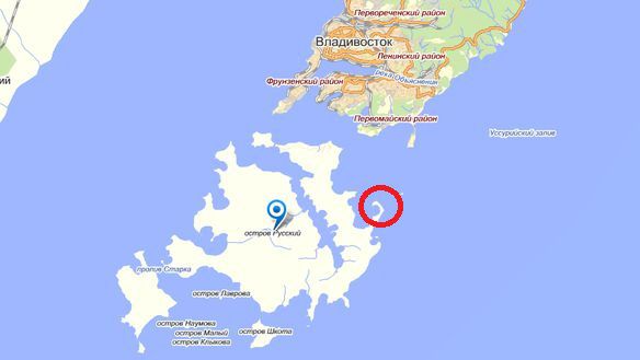 Место, где была замечена стая акул в районе острова Русский, Приморский край. Фото: maps.yandex.ru