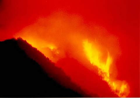 Лесной пожар близ города Малибу в Калифорнии