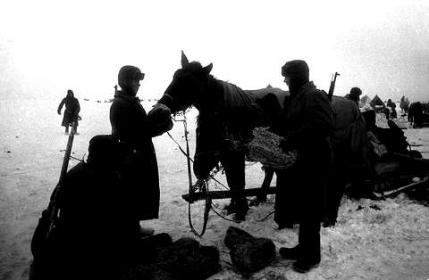 Советские солдаты скармливают лошадям немецкие караульные боты из соломенных жгутов, 1942 г.