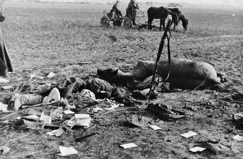 Погибший красноармеец у убитой лошади, 1941 г.