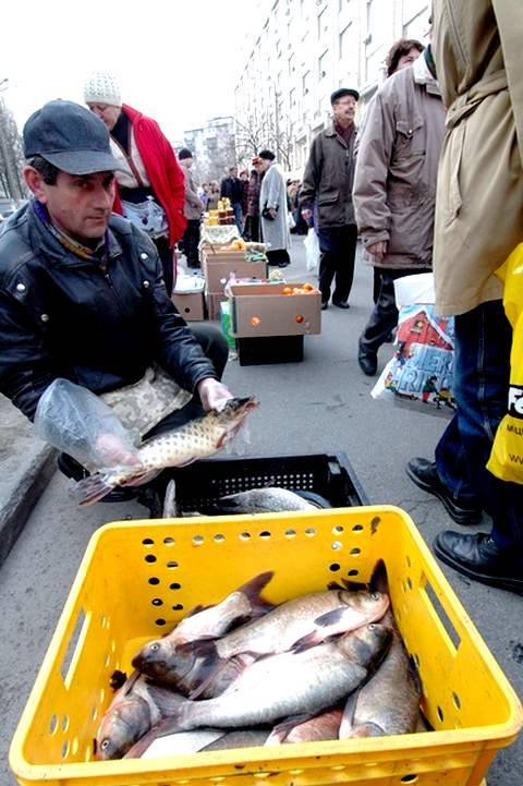 *Речную рыбу, выловленную на рыбалке, необходимо варить не менее 20 минут с момента закипания воды, а жарить 15-20 минут(фото Сергея Даценко, «ФАКТЫ»)