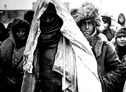 В колонне пленных немецкой армии (2 февраля 1943 года).  Фото А.Фридлянского. Репродукция Фотохроники ТАСС