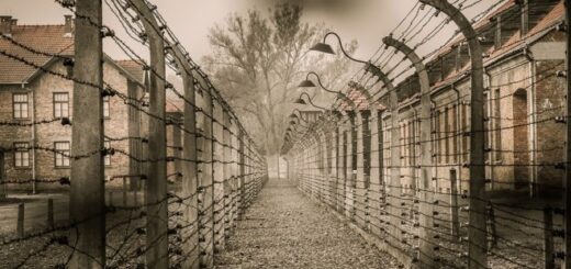 Сирецький концентраційний табір: катування «кавою» та хлібом