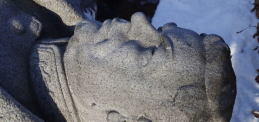 У Маріїнському парку демонтували пам’ятник радянському генералу Ватутіну