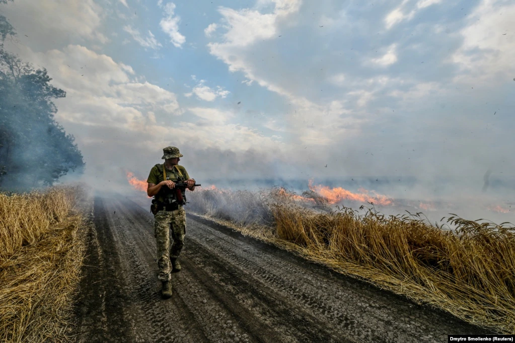 Український військовий проходить повз палаюче пшеничне поле неподалік від лінії фронту, 17 липня 2022 року