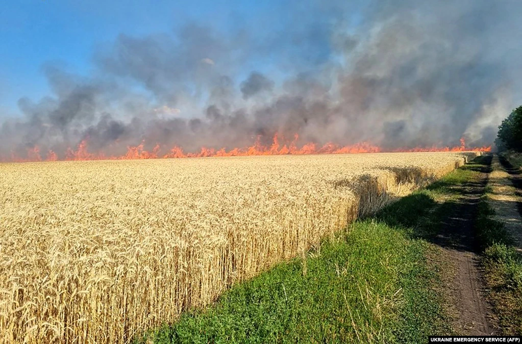 Пшеничне поле в Миколаївській області у вогні, 17 липня 2022 року. Подібні пожежі стають все частішими, оскільки літнє сонце висушує поля, де росте пшениця.&nbsp;