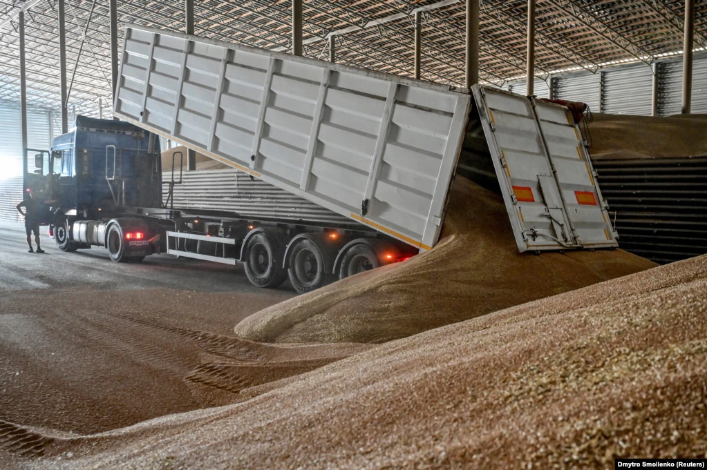 Зерно з фури зсипають у складське приміщення. Запорізька область, 29 липня