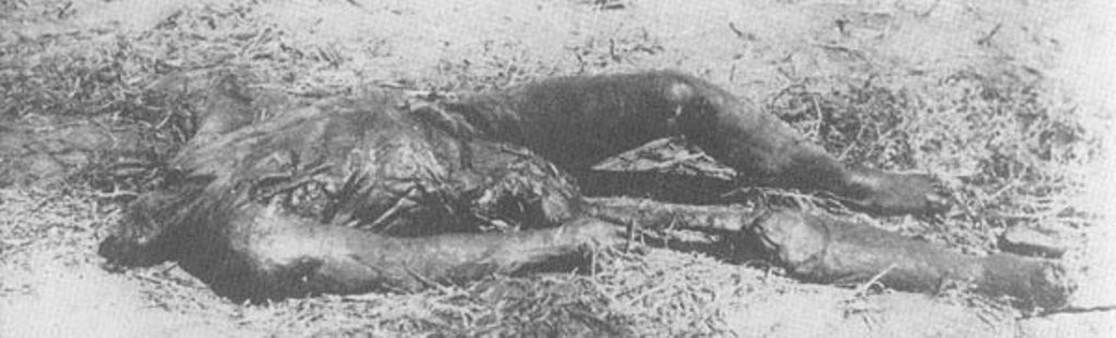 Труп, найденный во дворе херсонской ЧК. Голова отрублена, правая нога перебита, тело сожжено. 