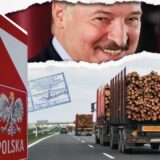 Фотошопом проти санкції. Як режим Лукашенка через Польщу вивозить в ЄС підсанкційну деревину з Білорусі