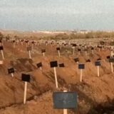 . Масові поховання поблизу Маріуполя. Фото: Telegram/Маріупольська міська рада