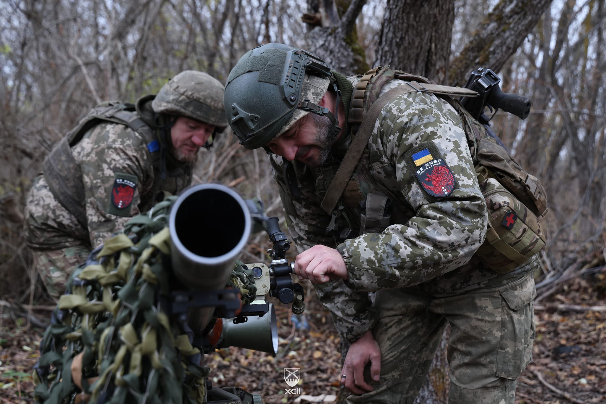 Десантно-штурмові війська Збройних Сил України