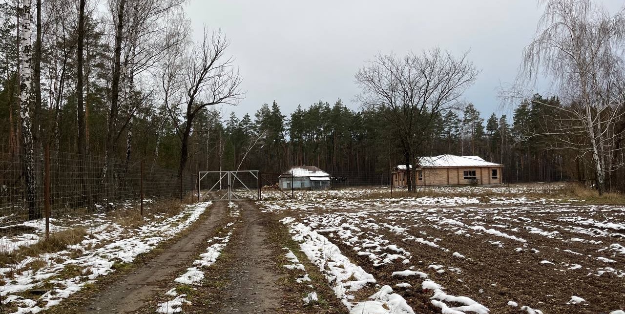 За парканом, яким обгороджений «хутір», видніється густий ліс та будинки (фото NGL.media)