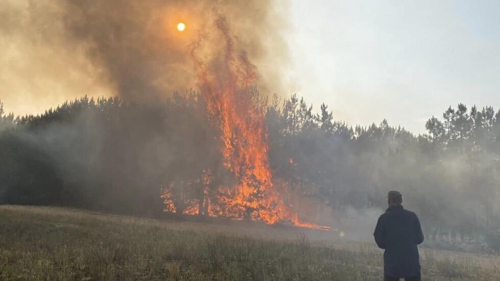 З початку повномасштабного вторгнення на Кінбурнській косі зафіксували майже 500 пожеж