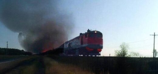 Фото: Сили Спеціальних операцій ЗС України