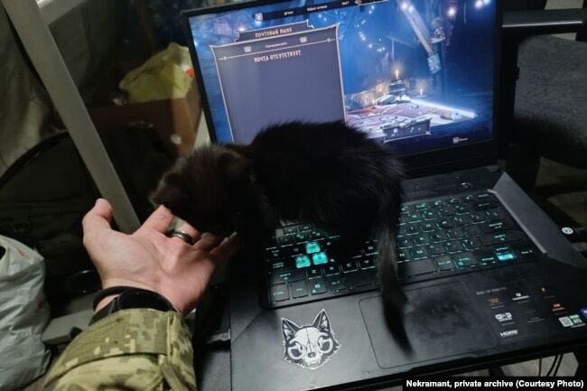 Відпочинок на фронті, фото з архіву білоруського фельдшера «Некроманта»