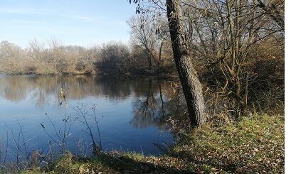 Катували та позбавили життя, скинувши у воду: на Сумщині засудили юнака за співучасть у катуванні та вбивстві знайомого