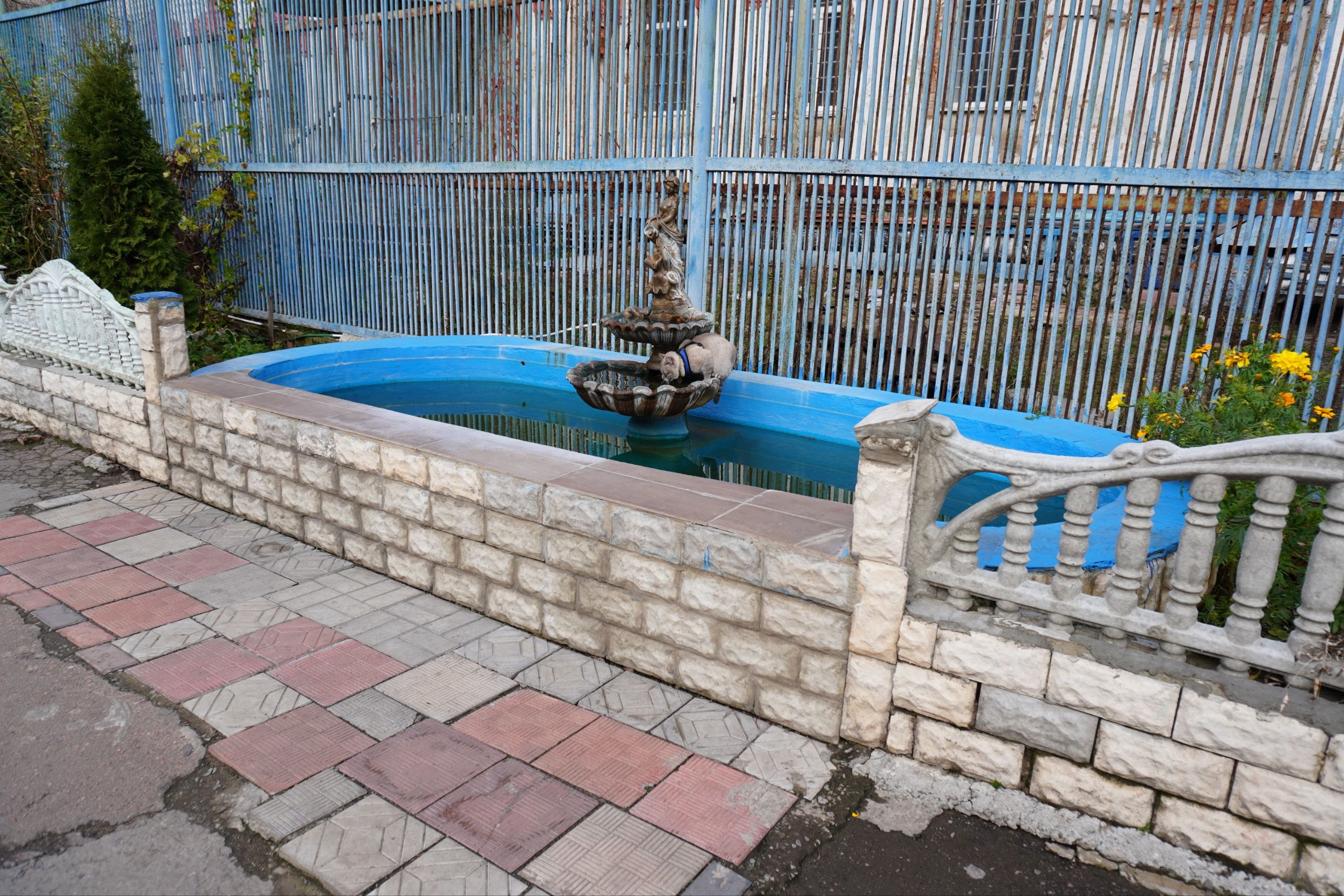 [Бердичівська виправна колонія (№70)]