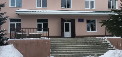 Правосуддя на плечі: як вино, коньяк та розбите серце звільняють суддю яка пʼянствувала на робочому місці