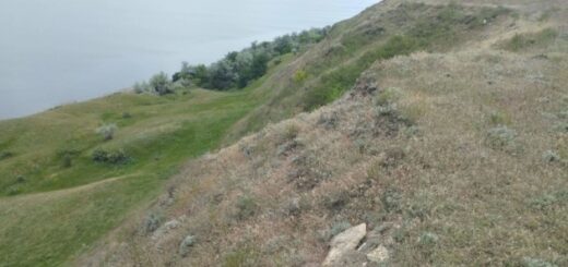Беззахисні кургани: як на Миколаївщині не вберегли скіфську спадщину