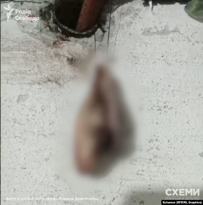 Фото відрізаних вух, яке розсилав Дємурчієв