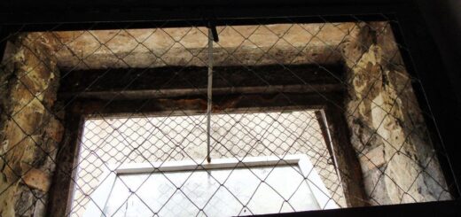 Звіт за результатами моніторингового візиту до Петрівської виправної колонії №49