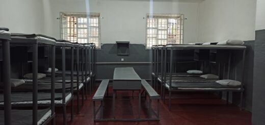 Звіт за результатами моніторингового визиту до Житомирської установи виконання покарань №8