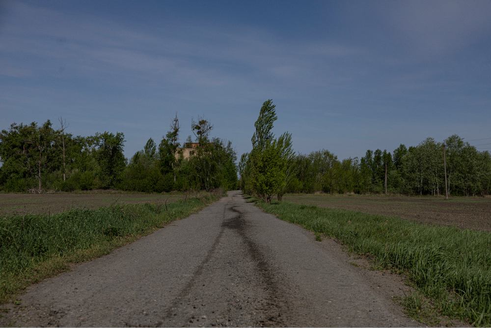 За деревами — територія, що належить підприємству 