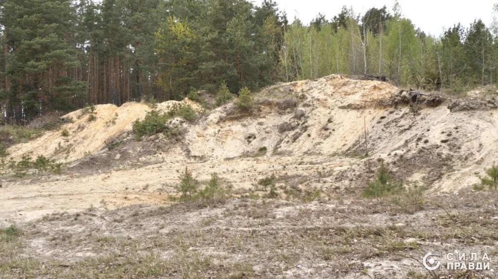 як та куди на Волині зникає лісовий фонд