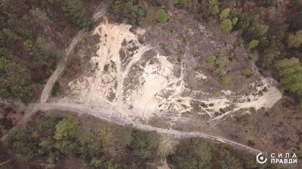 як та куди на Волині зникає лісовий фонд