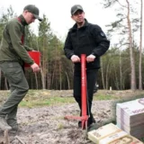 Як посадовці ДП Ліси України створили родинний бізнес на саджанцях та фірмах-одноденках