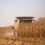 фото: depositphotos.com