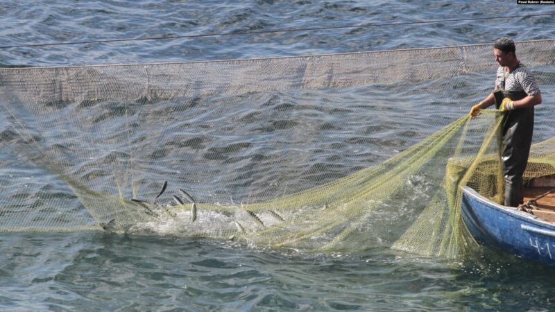 Промислове рибальство в Азовському та Чорному морях фактично заблоковане, ілюстраційне фото