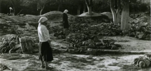 Во время эксгумации тел в Виннице, 1943 год. Фото: www.vin.gov.ua