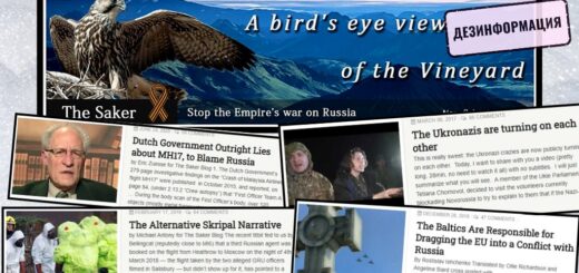 Обзор кремлевской дезинфорации: Facebook использует украинских нацистов для борьбы с Россией и прочий абсурд