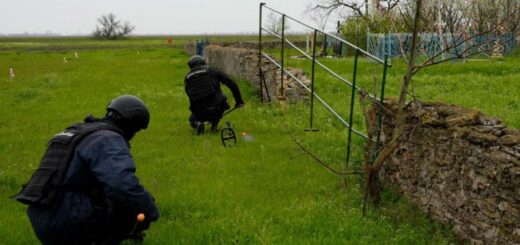 Вибухотехніки ДСНС розміновують кладовище в деокупованому районі на Миколаївщині