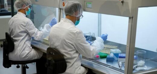 Пошук зниклих (інструкція): як подати зразки ДНК до лабораторії в Гаазі і чим займається Міжнародна комісія з питань зниклих безвісти