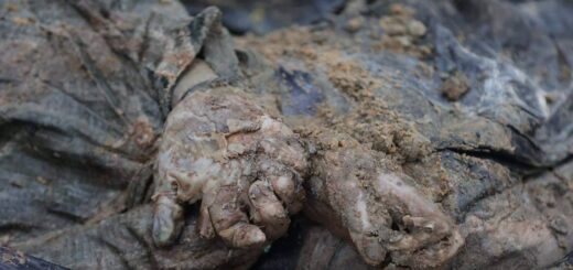 Фото: Денис КазанскийЭксгумация тел в Изюме. Связанные за спиной руки одной из жертв российских убийц.