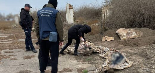 На освобожденной части Херсонской области нашли десятки свидетельств военных преступлений России